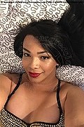 Osnabr�ck Transex Anny Brasil  004915171043164 foto selfie 8