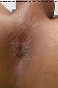 Salvador Bahia Transex Brenda Top  005571991308675 foto selfie 5