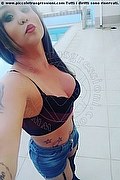 Campinas Transex Katlyn Suzuki  005519994523899 foto selfie 5