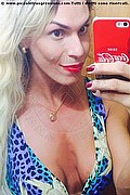 Rio De Janeiro Transex Camilly Victoria  005511984295283 foto selfie 6