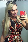 Rio De Janeiro Transex Camilly Victoria  005511984295283 foto selfie 3