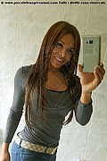 New York Transex Daniela Kosan  0013132908621 foto selfie 111